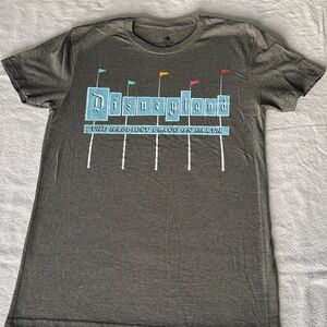 Disneyland Gray T-Shirt with Colorful Flags